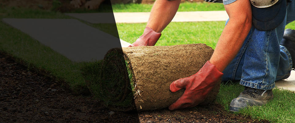 Blackwell Landscapers